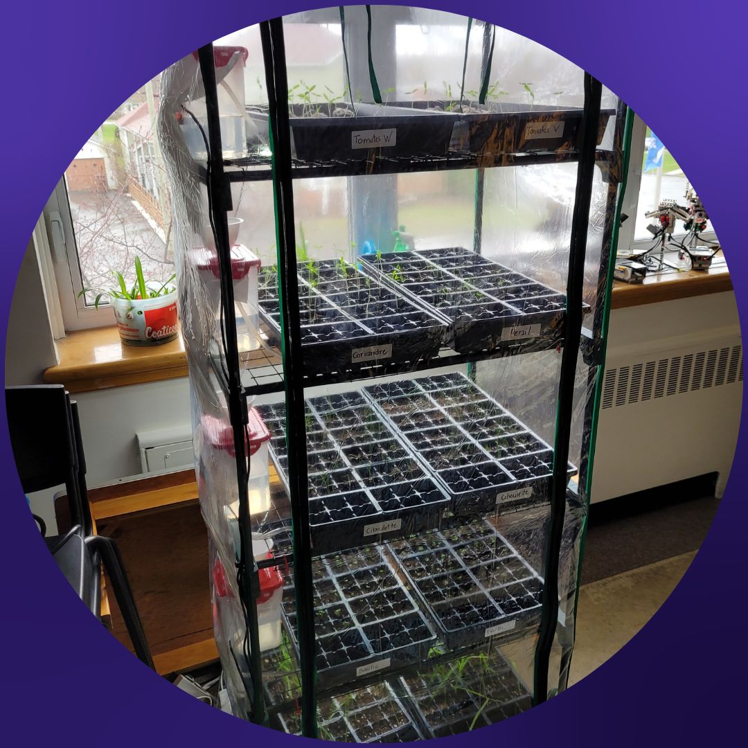 Projet Serre automatisée